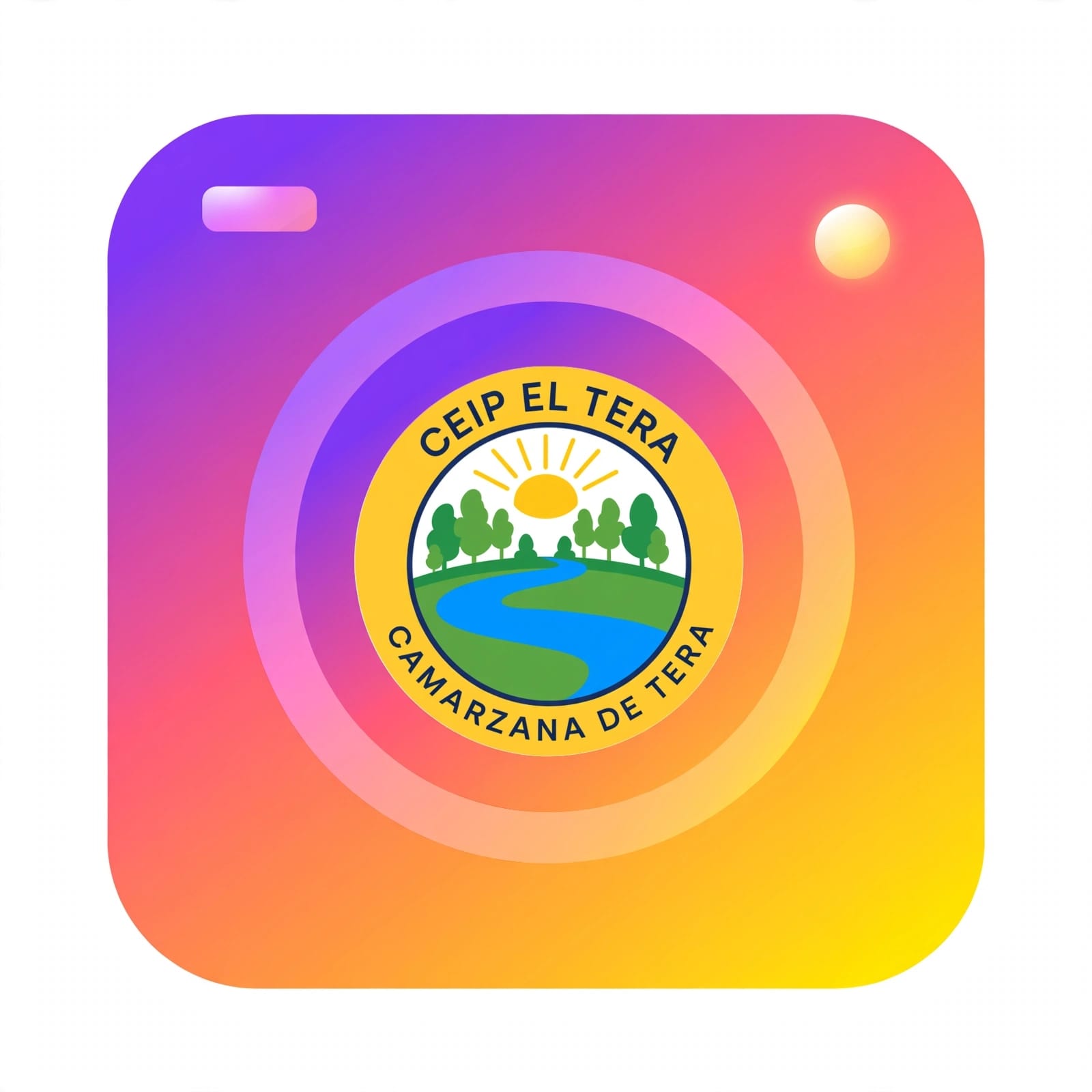 LOGO INSTA